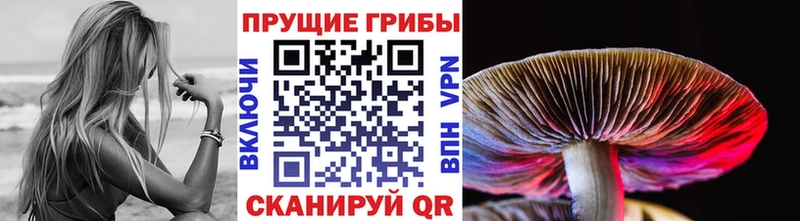 Псилоцибиновые грибы Cubensis  shop какой сайт  Белозерск 